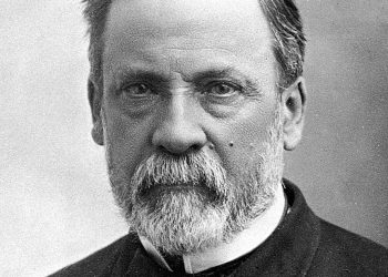 Вирусите – бандити в клетката