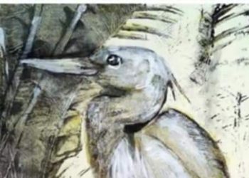 Силата и красотата на водата