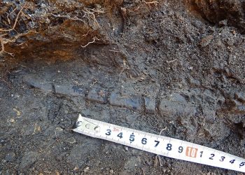 Трънският „Джурасик парк“