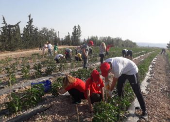 Да вземеш хляба си в ръце