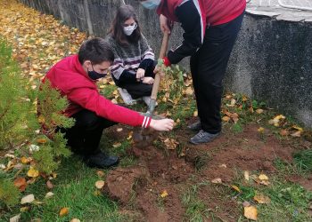 „Под стряхата на родното школo’“