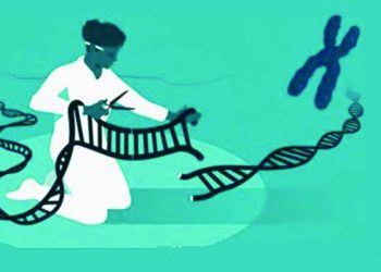 Повелителките на кода