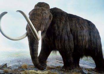 Редактирането на кода –  от миналото към бъдещето