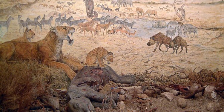 Перла в короната