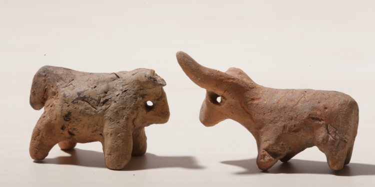 Експедиции във времето