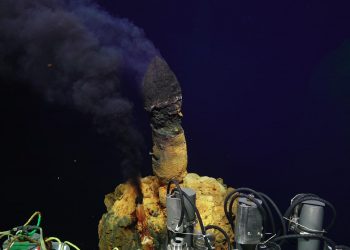 Живот на неочаквани места