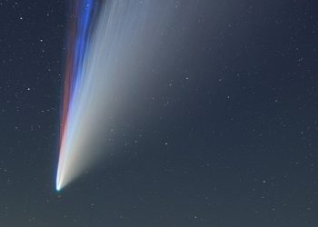 Необикновеният гост с червената опашка