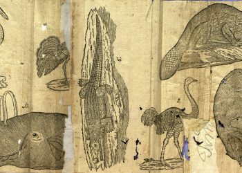 Първия „Рибен буквар“ показва БАН