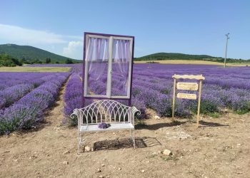 90 000 деца в изяви по интереси