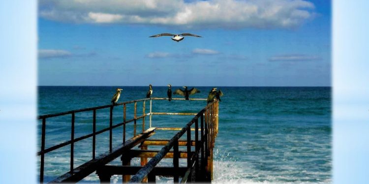 За Черно море с любов