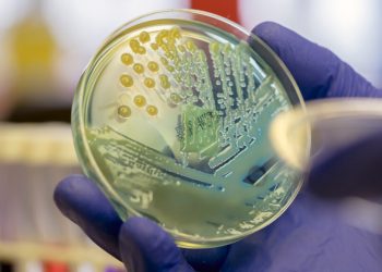 Антимикробната резистентност