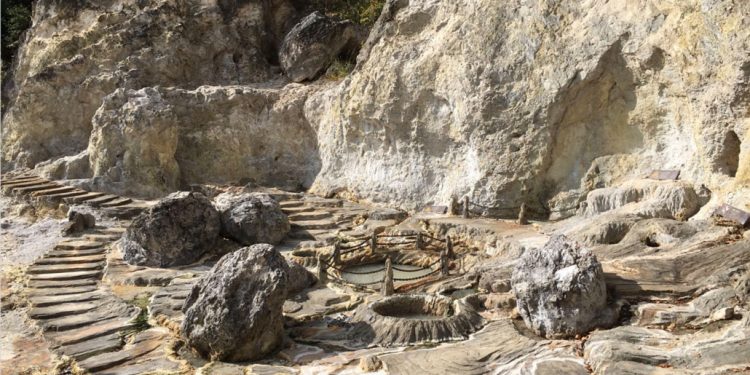 Микроби рециклират въглерод