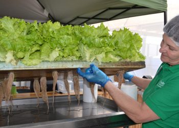 Център за аквапоника в Стара Загора