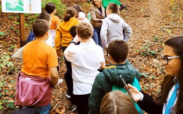 Да видиш природата през очите на пчелите