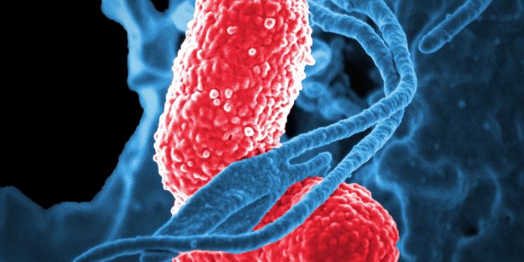 Ново оръжие срещу устойчиви на антибиотици бактерии