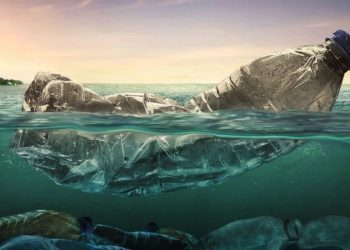 Микропластмаса се натрупва на дъното на Средиземно море