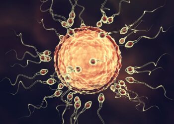 Ембрионите и биологичният часовник