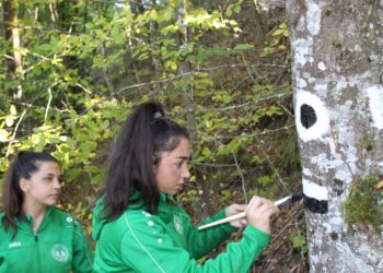 Да възпиташ стопани  на българската гора