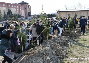 Мечтай и постигай