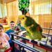 Папагал на гости в детска градина