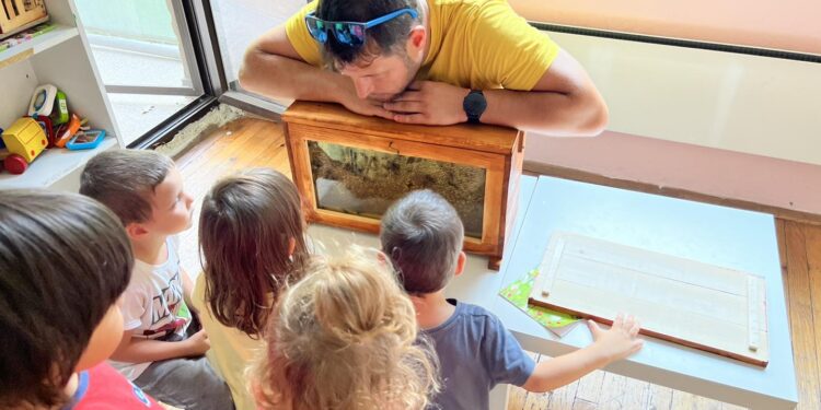 Пчели на гости в детската градина