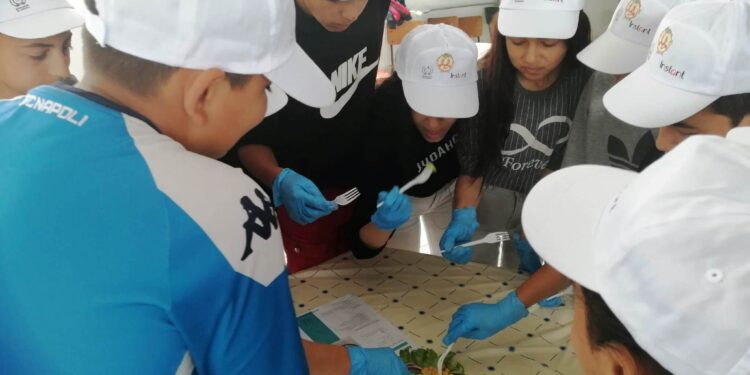 Малките рицари на Северозапада