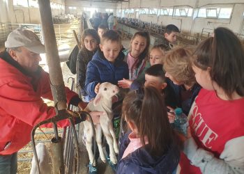 Срещи  във фермата