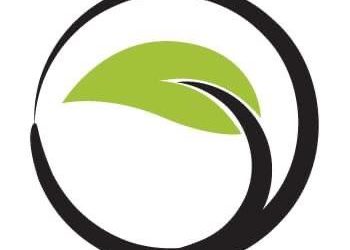 Зелени победители