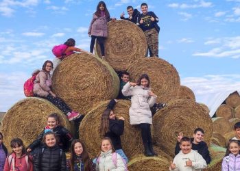 Любимата работа носи свобода