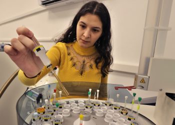 Медът е най-лесен за фалшифициране