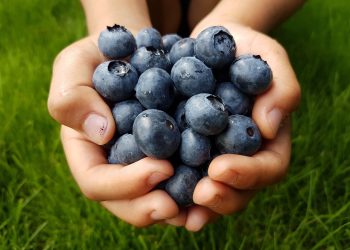 Повече биопродукти за учениците по „Училищен плод“