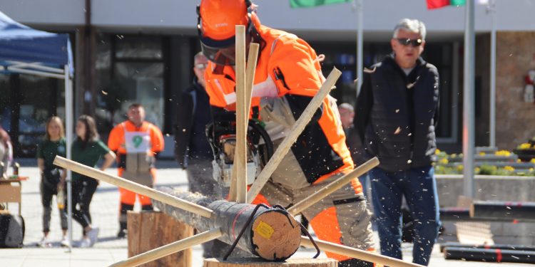 Оспорвана битка в деветото издание на „Млад дървосекач“