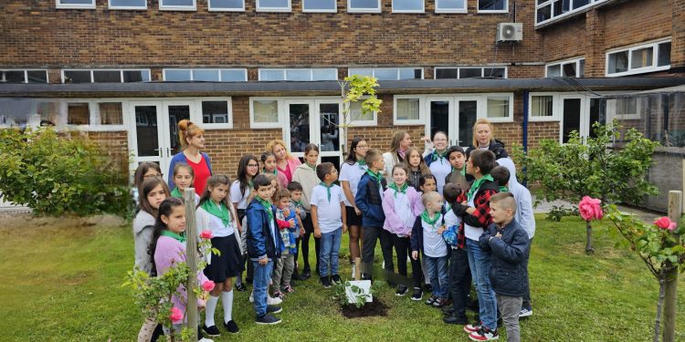 Български рози ще ухаят в Престън