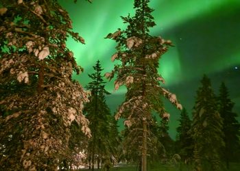 Tворчество: Есета от национален конкурс „Физиката в моя свят“