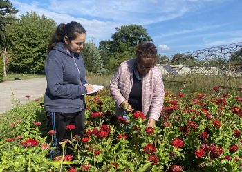 Цветята са храна за душата