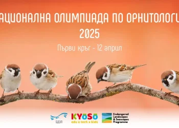 Записването за тазгодишното издание на Националната олимпиада по орнитология е открито, съобщава Българското дружество за защита на птиците