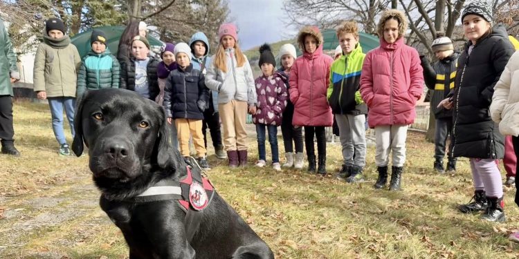 Училището в с. Дивотино въвежда метода „Монтесори“ в обучението си