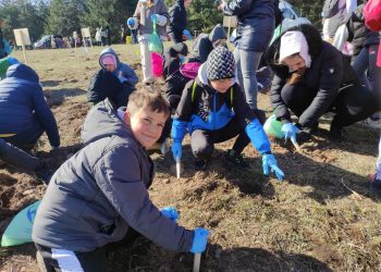 Гората на децата