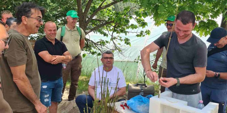 Лесотехническият университет обучи 110 горски служители