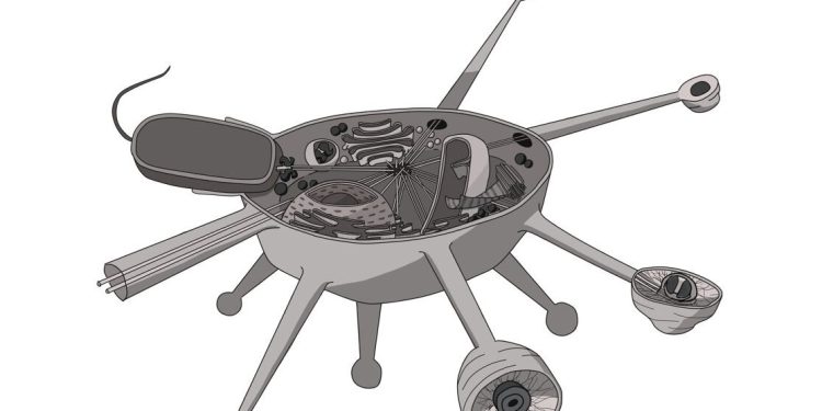 Нов клон в дървото на живота